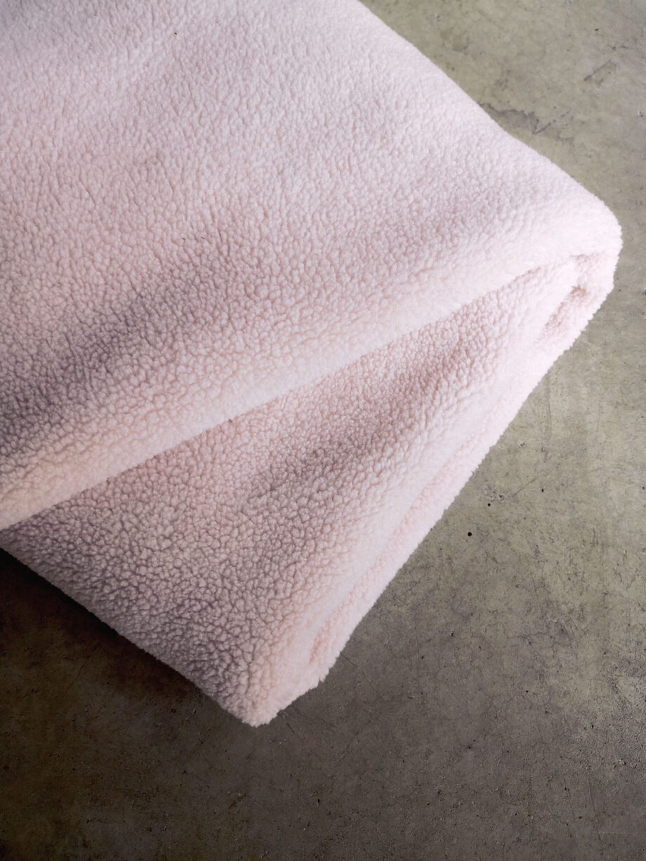 Tabara 22 Rose