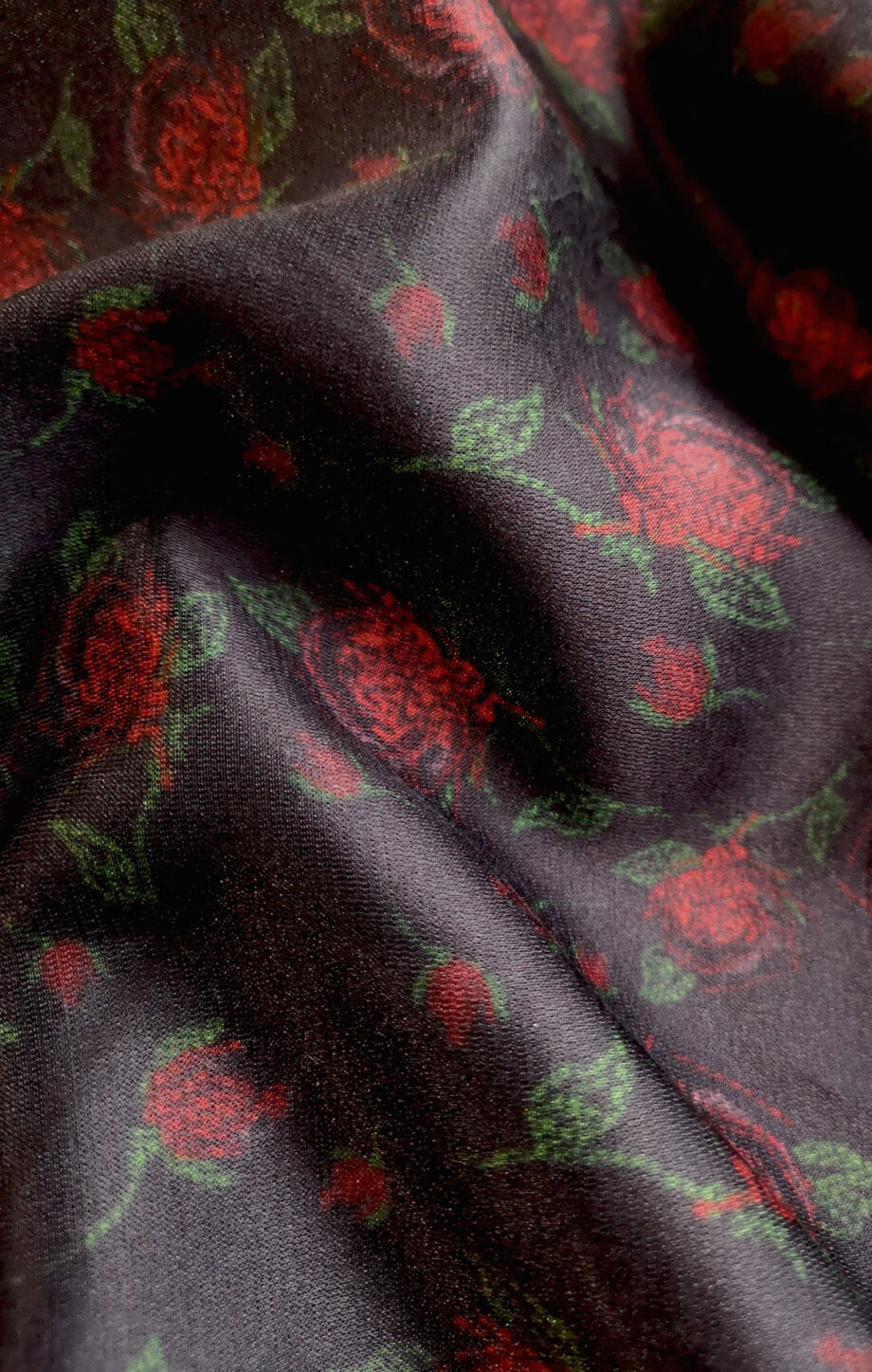 Acantine 22 Pic4