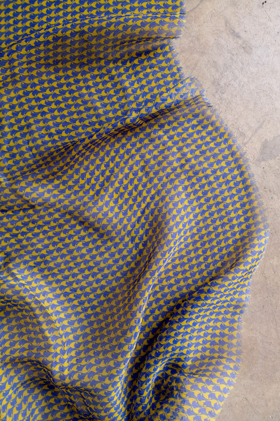 Calista 22 Saphir Yellow 2